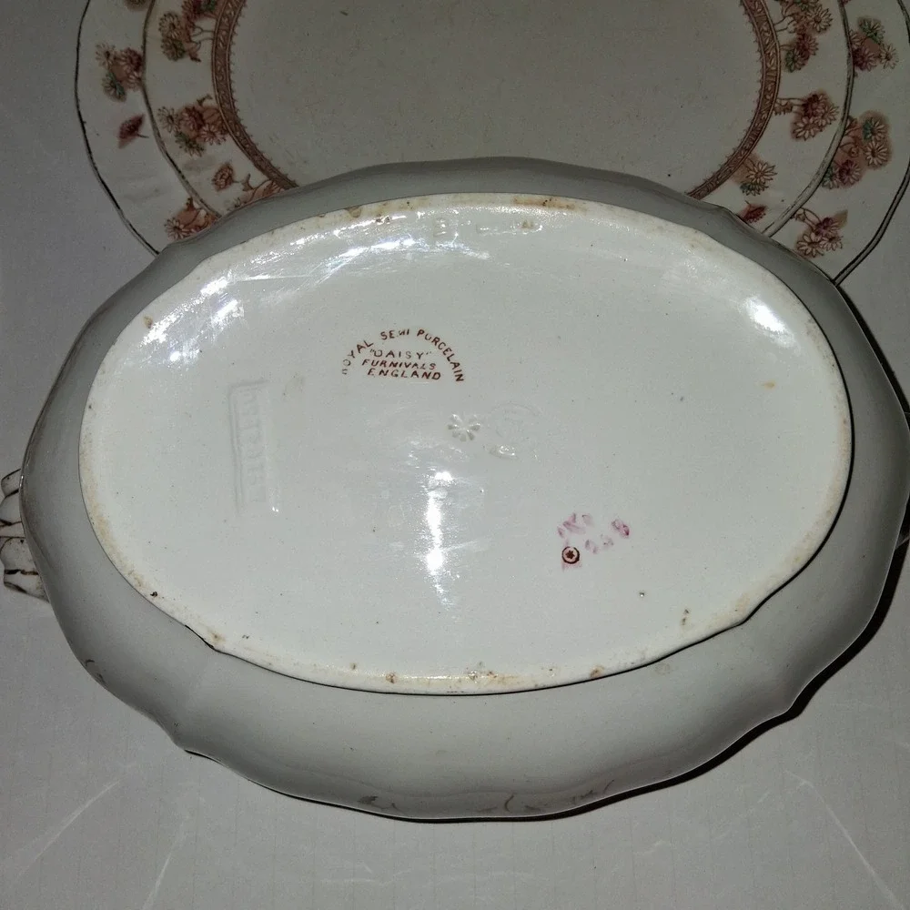 Furnivals Victorian Daisy Covered Transferware Handpainted Soup Tureen 1892-1913